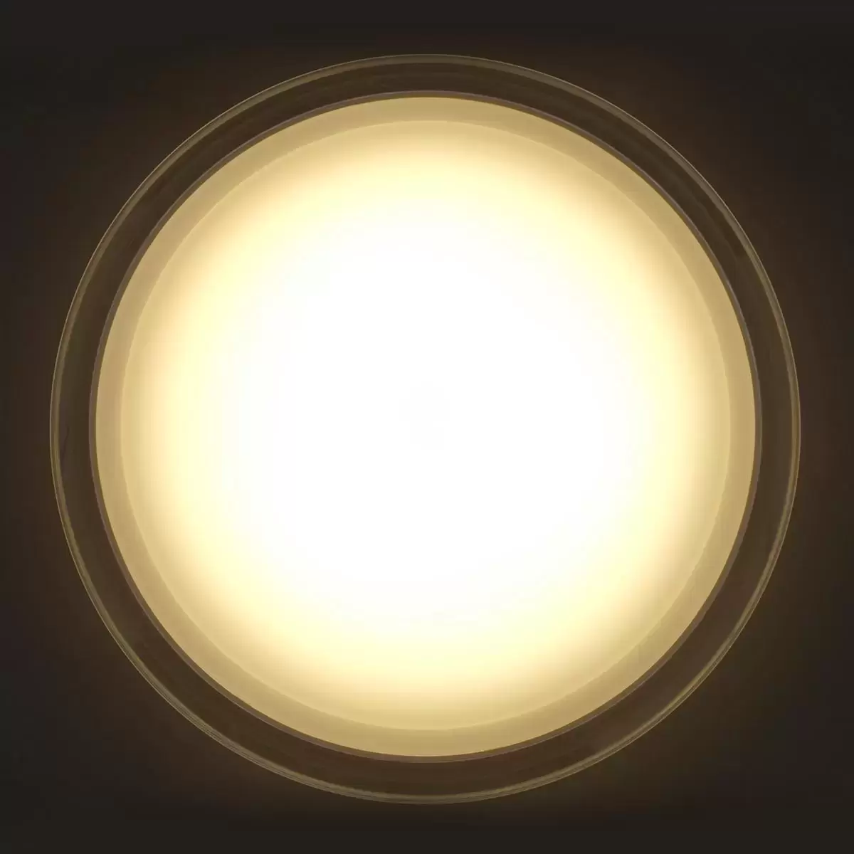 IRIS OHYAMA LED 多功能吸頂燈 CL12DL-MFMCT - 4