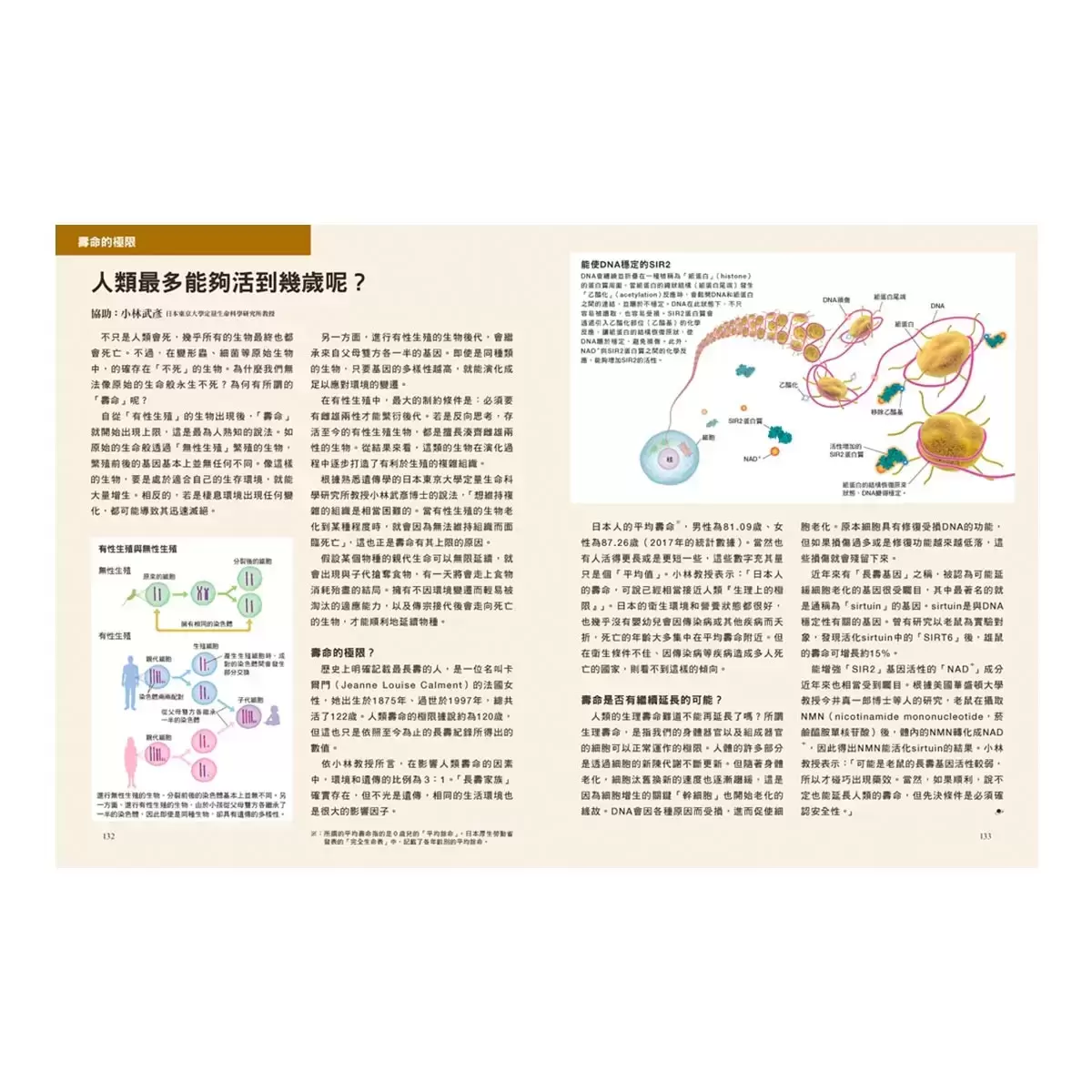 身體的科學知識+身體的檢查數值+飲食與營養科學百科+死亡是什麼 (四冊合售)