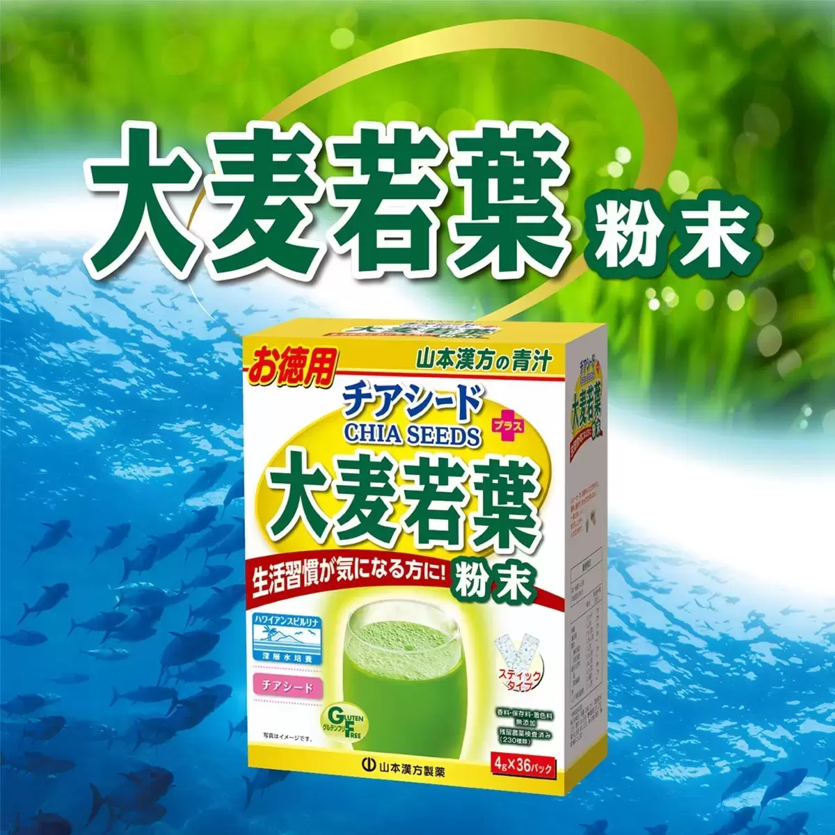 Yamamoto Kanpoh 山本漢方 日本大麥若葉粉末 + 奇亞籽 4公克 X 36包 X 20盒