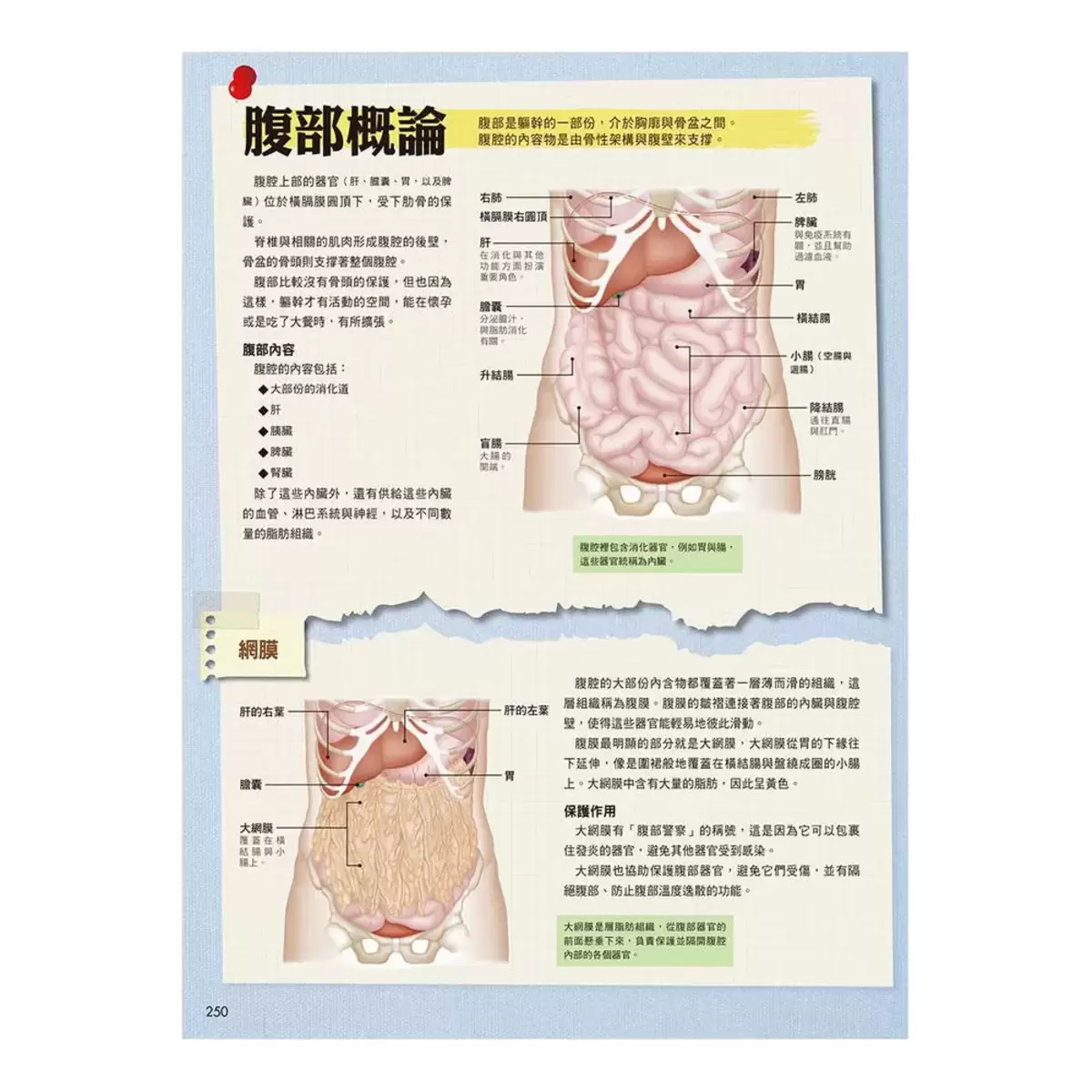人體機能解剖全書 vol.1+vol.2 (2冊)