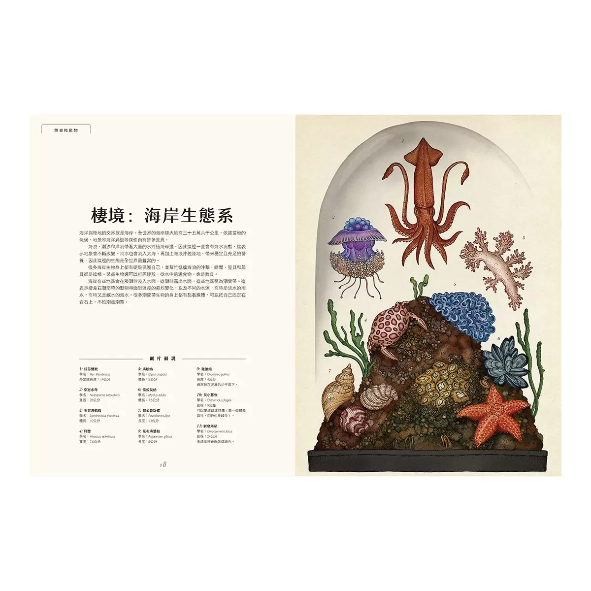 動物博物館