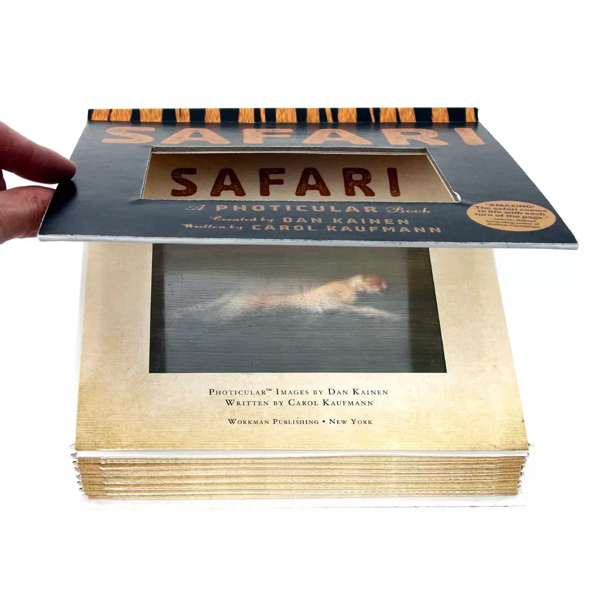 A Photicular Book 外文書 Safari