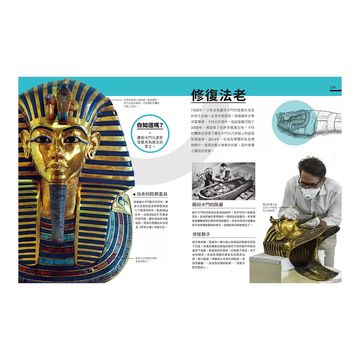 博物館密室大公開:打開後臺的神祕大門,走進展廳背後的驚奇世界