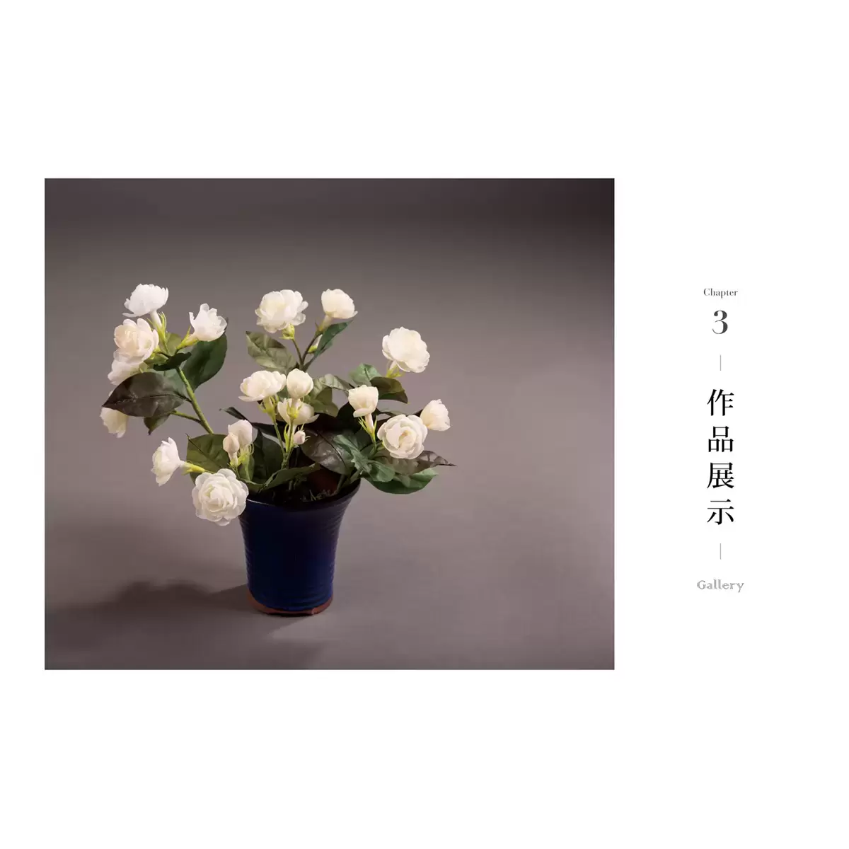 索拉花必備寶典 & 蓪草紙研究室套書 (2冊)