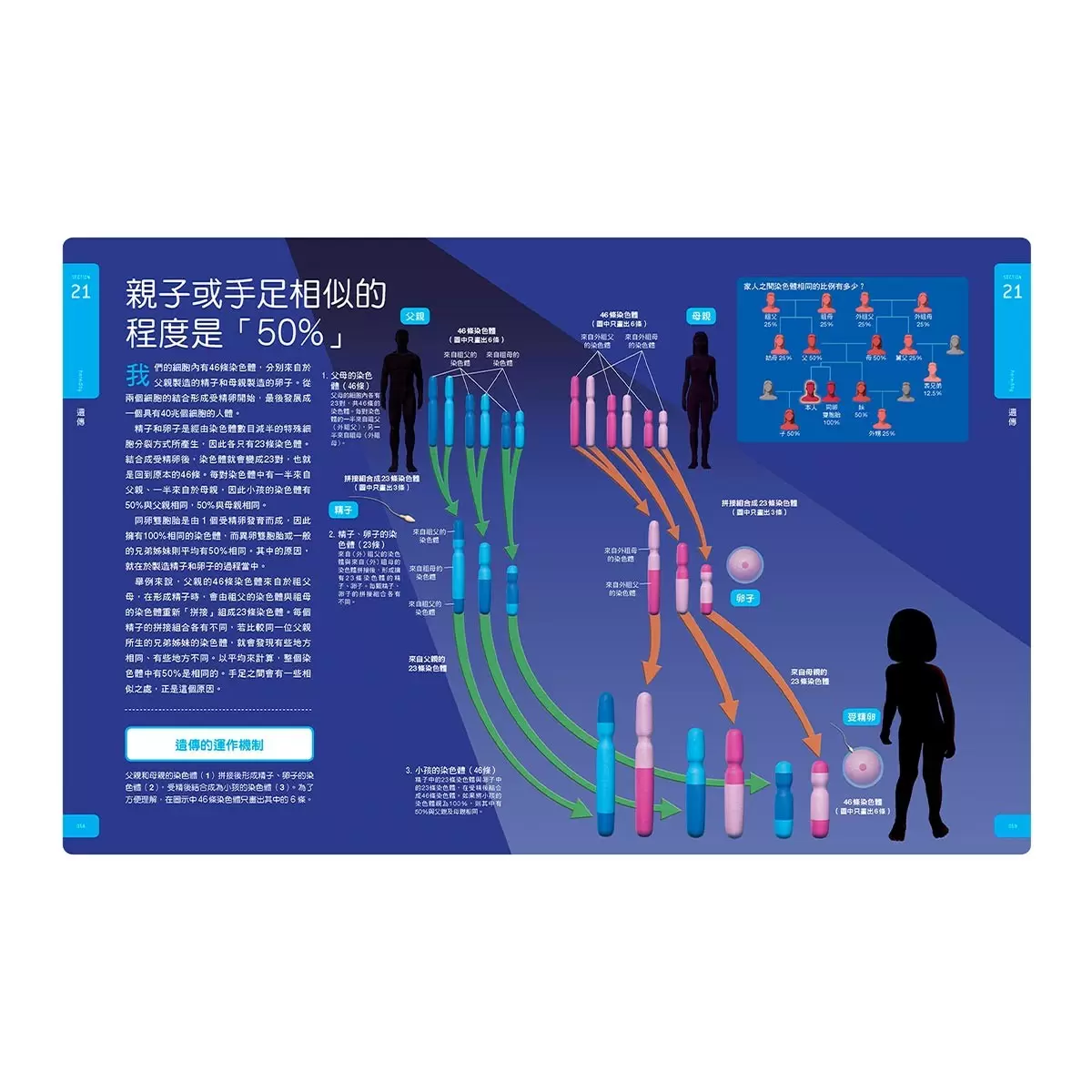 人體大圖鑑: 伽利略科學大圖鑑 5