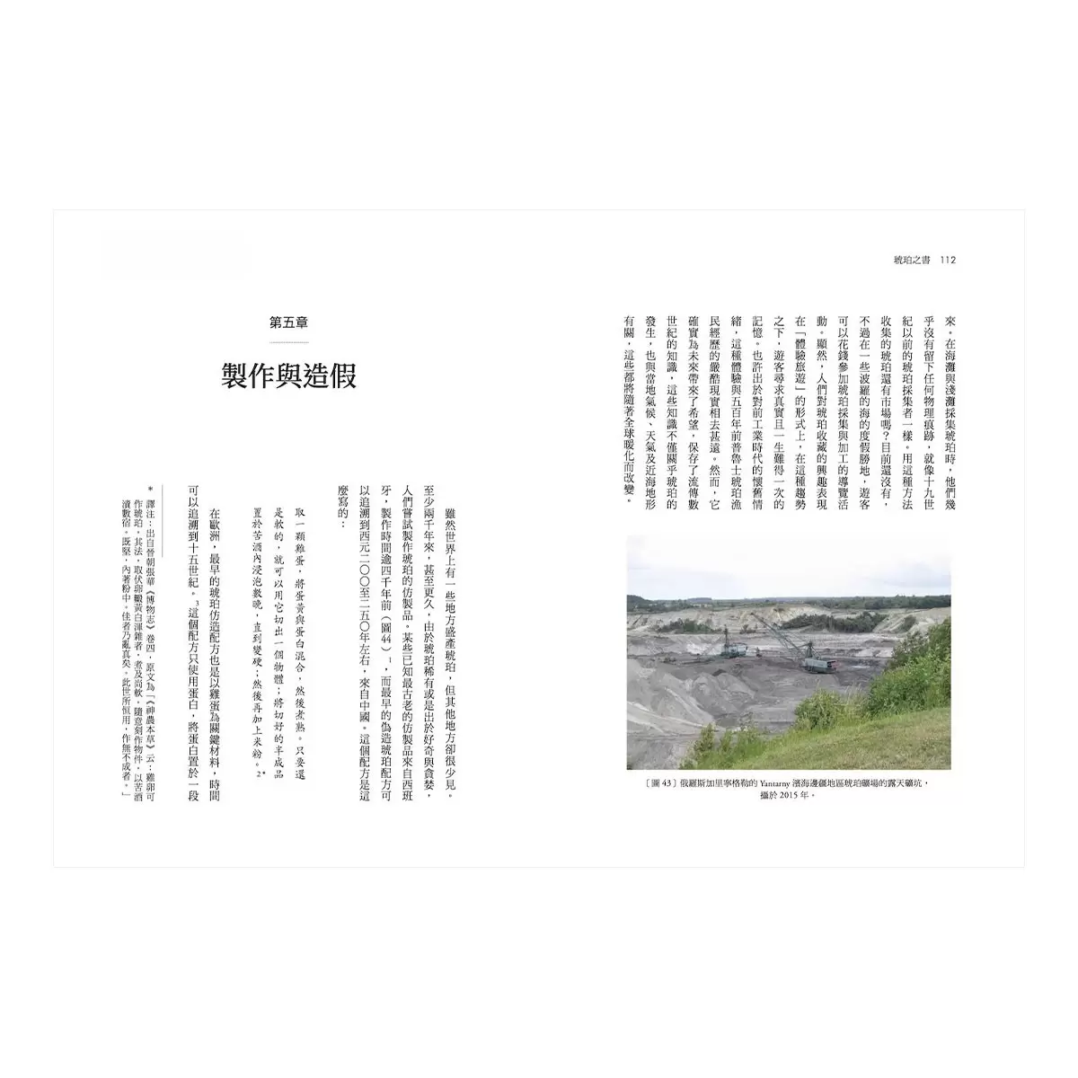 琥珀之書：傳承萬物記憶、透視歷史風貌的永恆傳奇