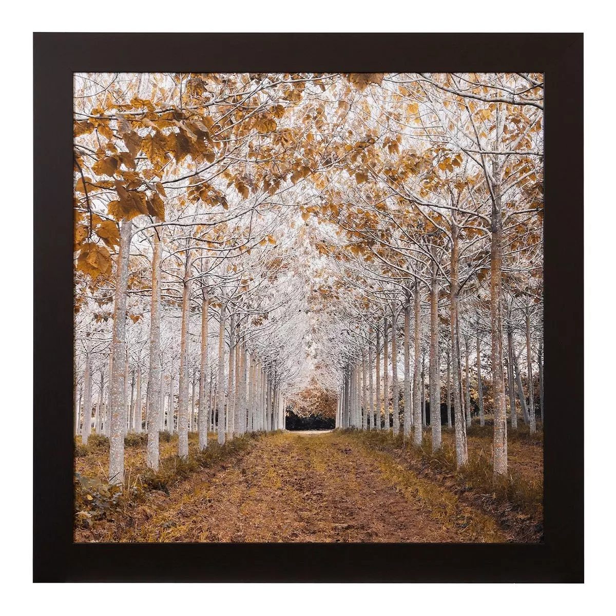 Stylecraft 壁畫 Bronze Lane
