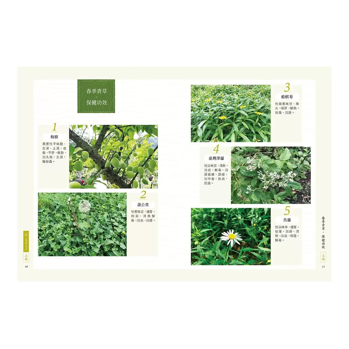 臺灣四季青草誌2：126種在地保健青草實用指南×16道季節養生料理，解鎖路邊雜草的神奇妙用