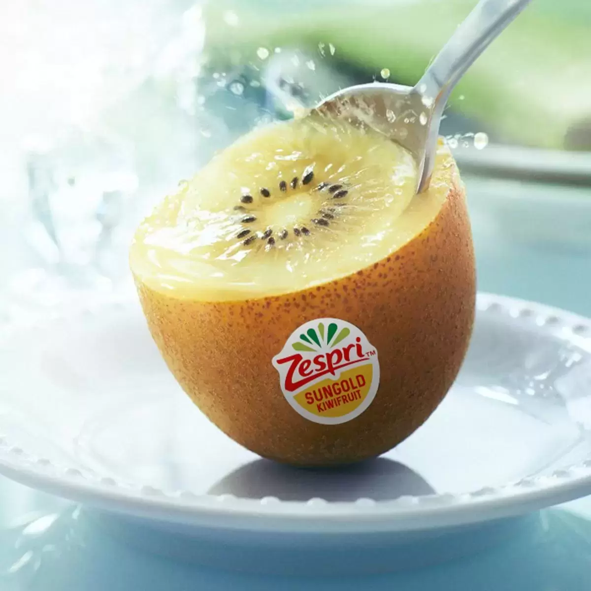 Zespri 紐西蘭陽光金圓頭奇異果 22入
