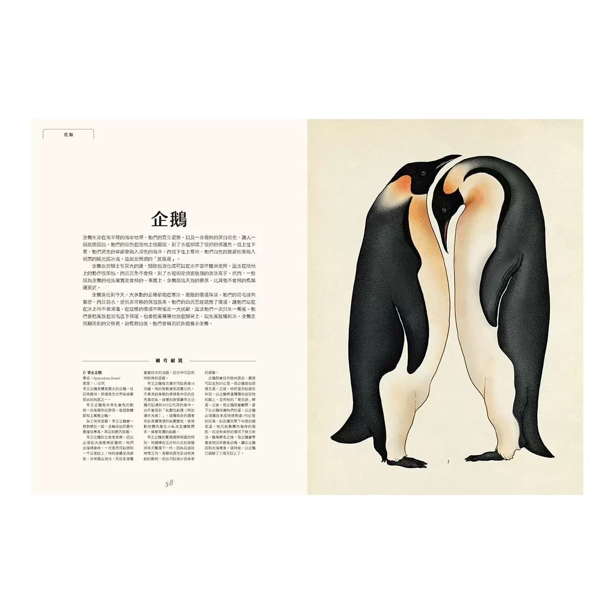 動物博物館