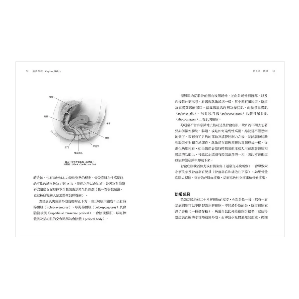 陰道聖經