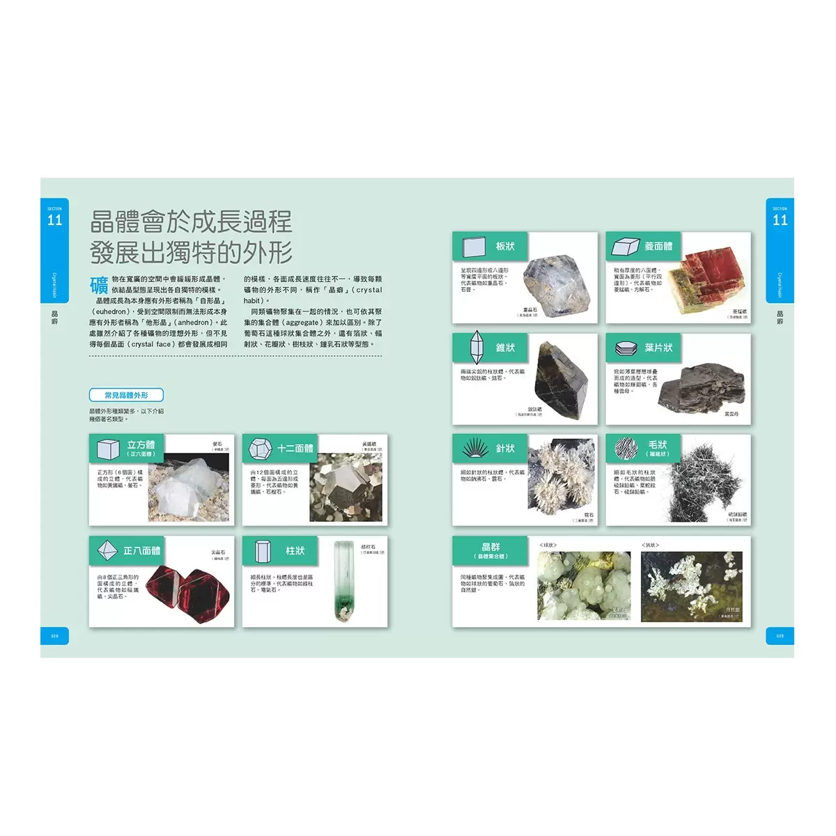 礦物大圖鑑：伽利略科學大圖鑑22