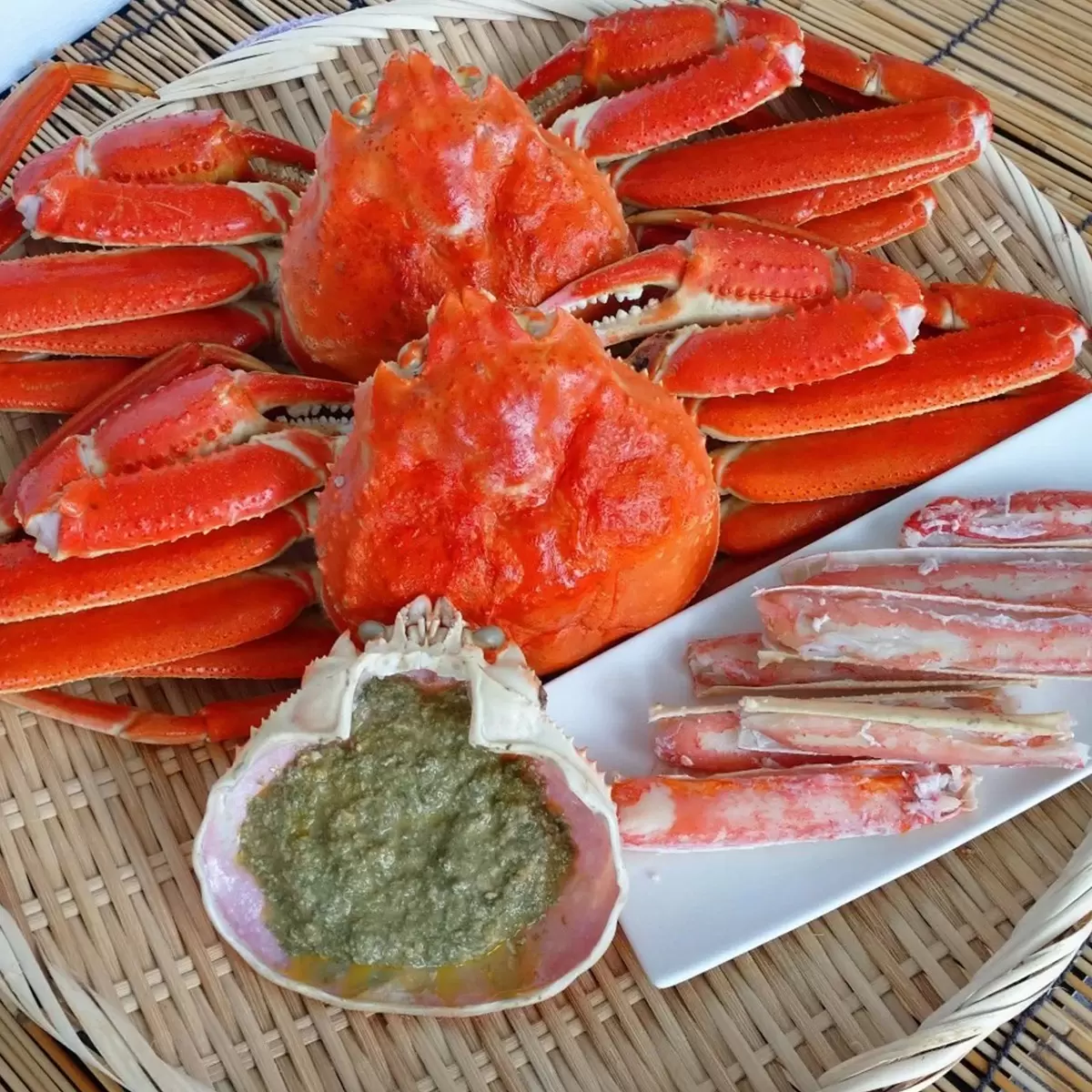 熟凍松葉蟹 - 1