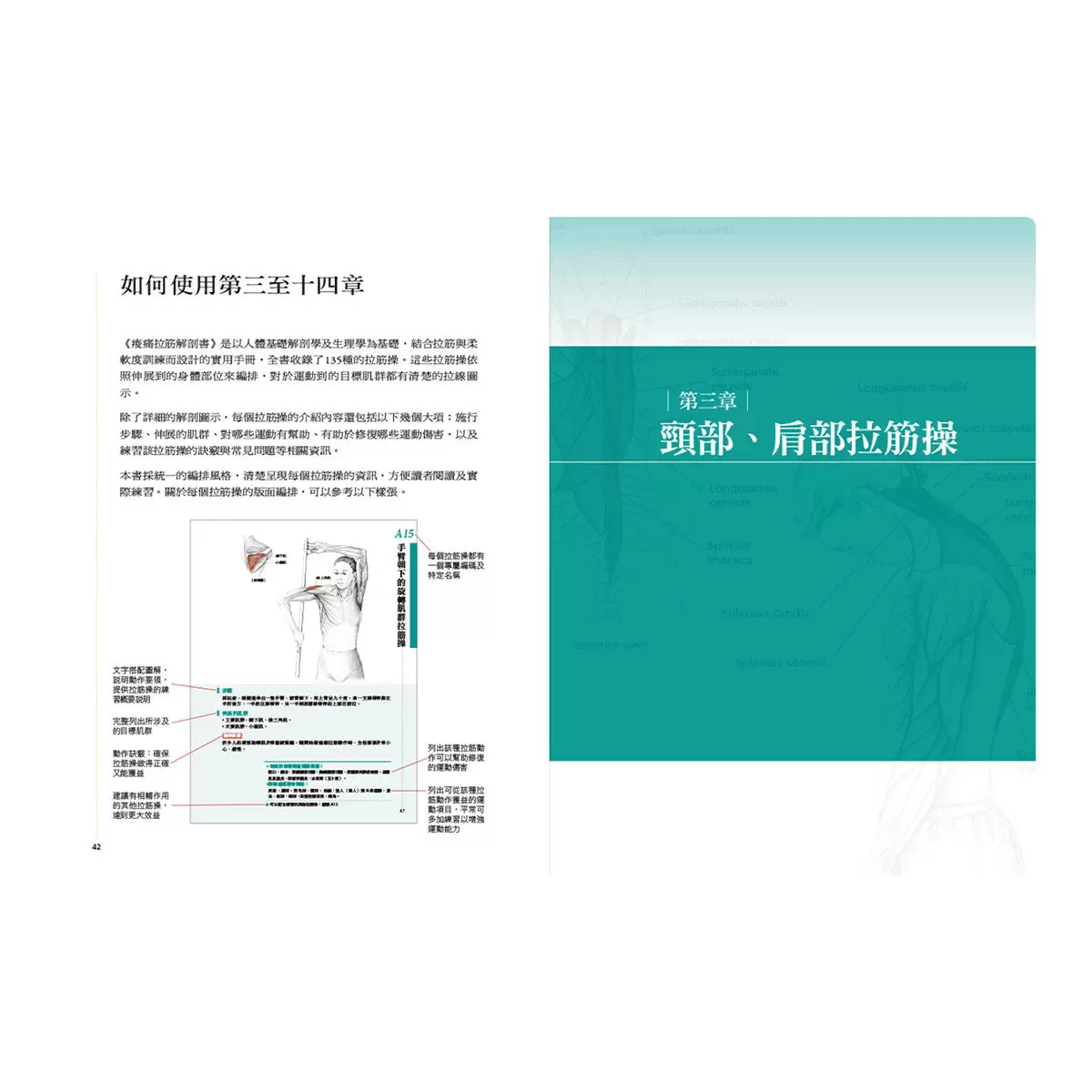 痠痛拉筋解剖書（升級增訂版套書）