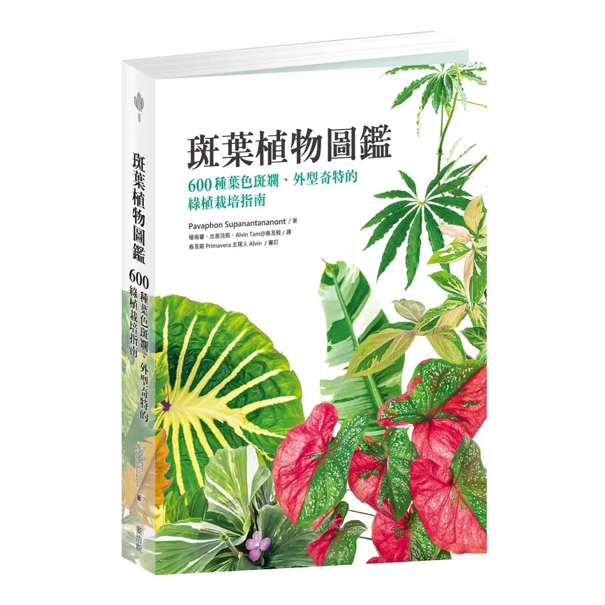 斑葉植物圖鑑：600種葉色斑斕、外型奇特的綠植栽培指南