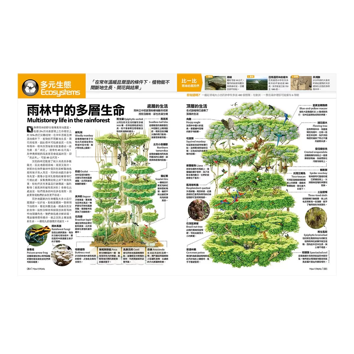 How It Works知識大圖解 國際中文版年度特刊：人體的奧祕 + How It Works知識大圖解 奇妙大自然大圖解(全新增修版)【純書版】2書合售
