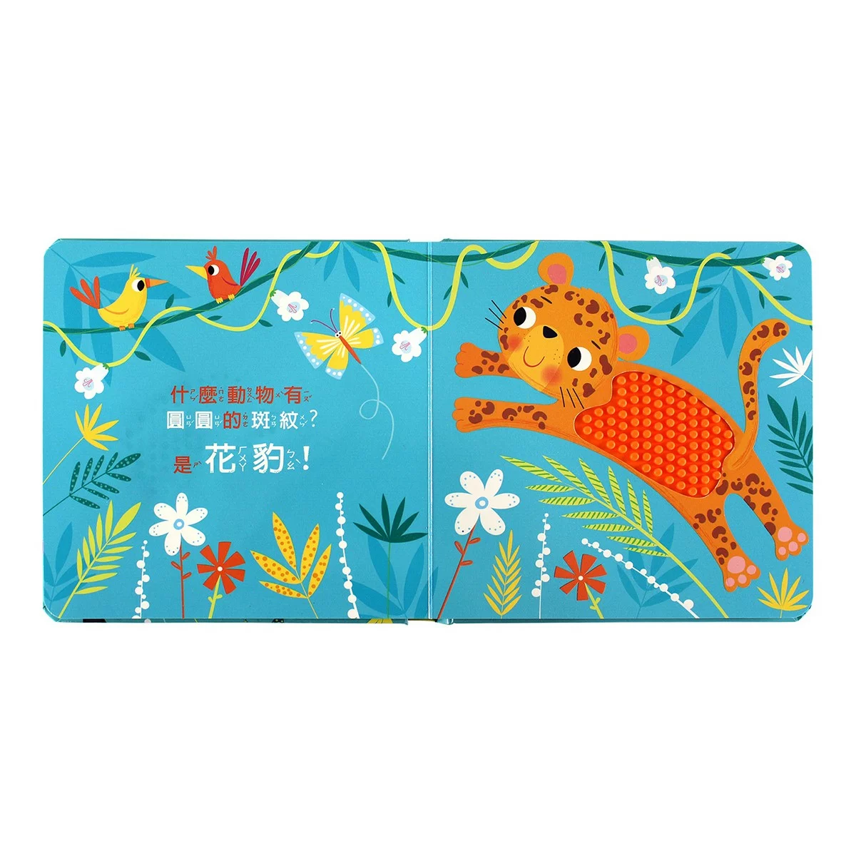 幼幼觸摸認知書(全套3冊) - 7