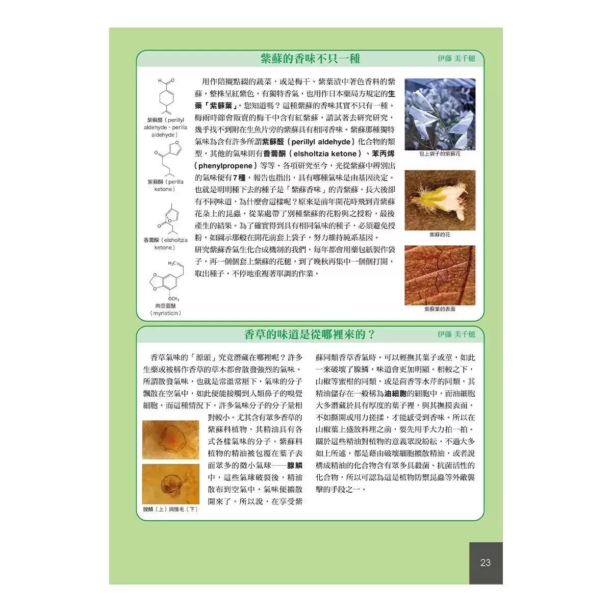 藥用植物大全