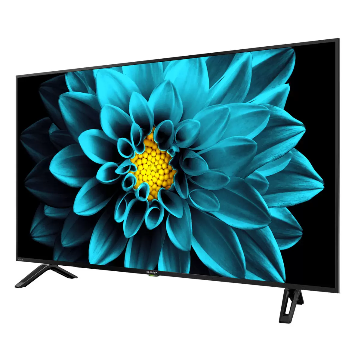 夏普 50吋 4K UHD Android 顯示器不含視訊盒 4T-C50DK1X