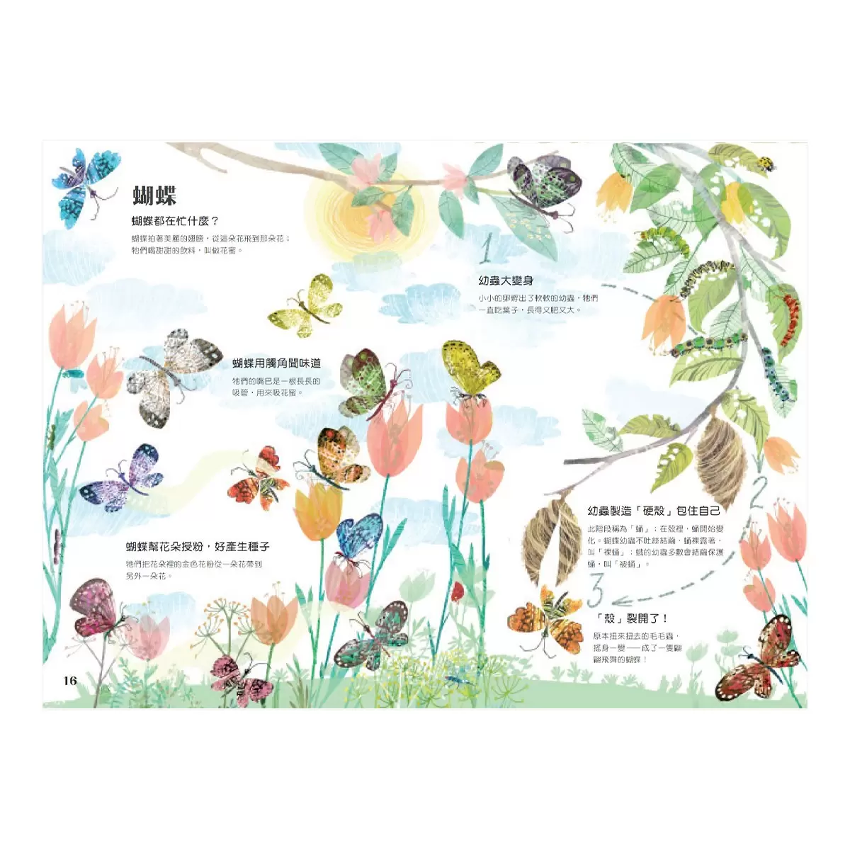 野獸大書 BEASTS(二版) +蟲蟲大書BUGS+海洋大書BLUE+野鳥大書BIRDS(四本合售)