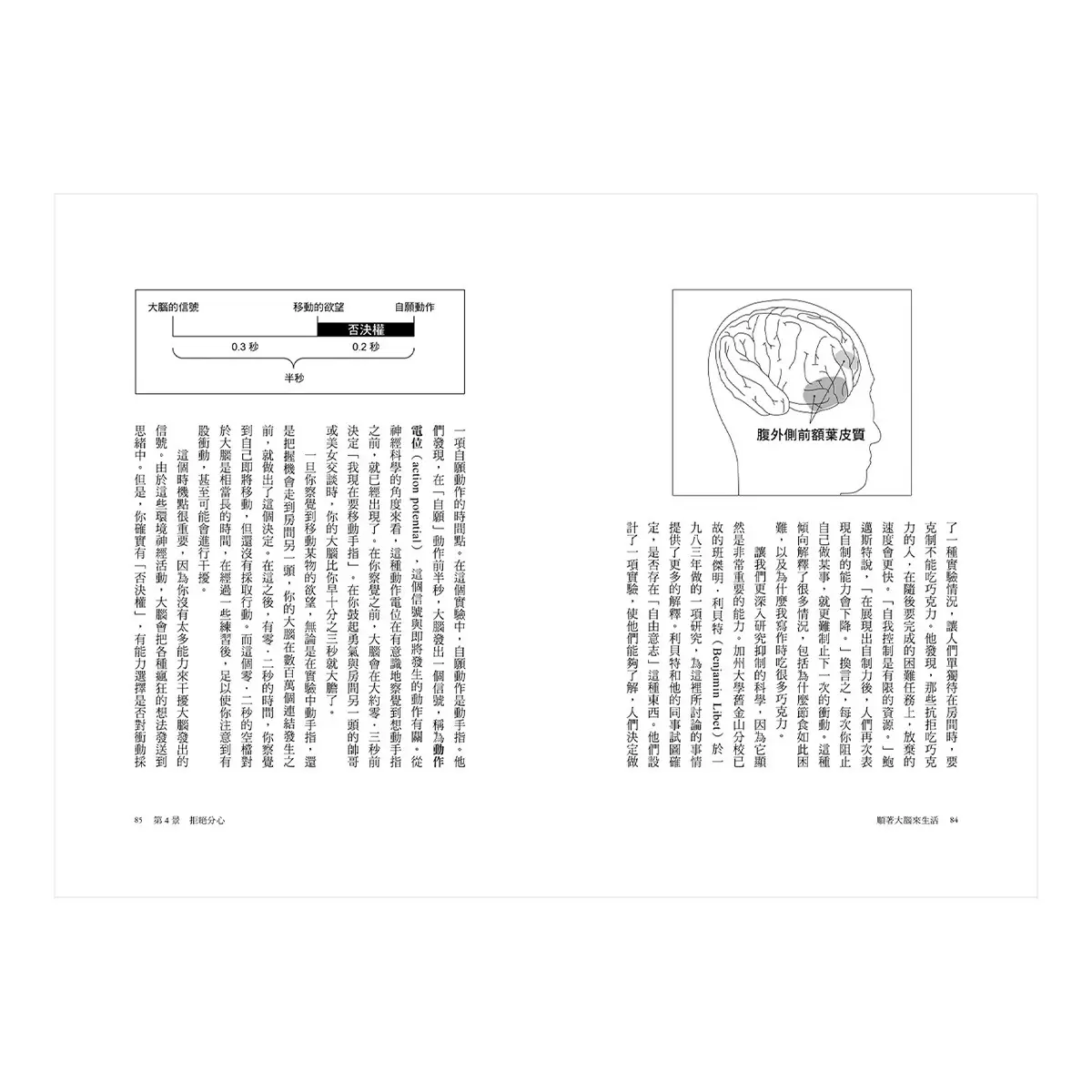 順著大腦來生活： 從起床到就寢，用大腦喜歡的模式，活出創意、健康與生產力的最高生活法