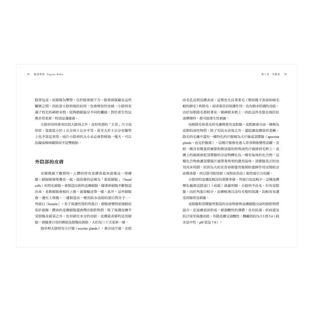 陰道聖經