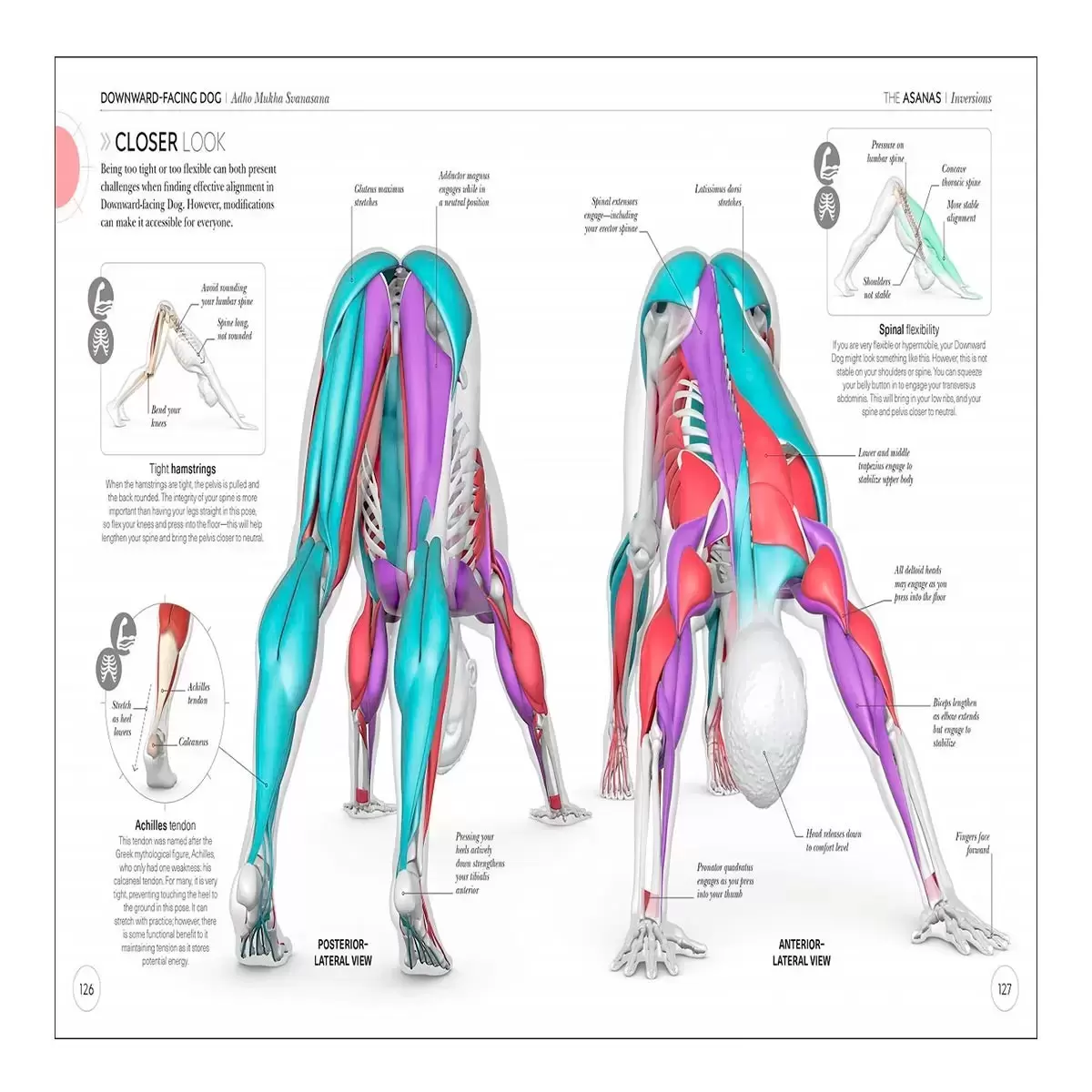 DK Science of Yoga 外文書