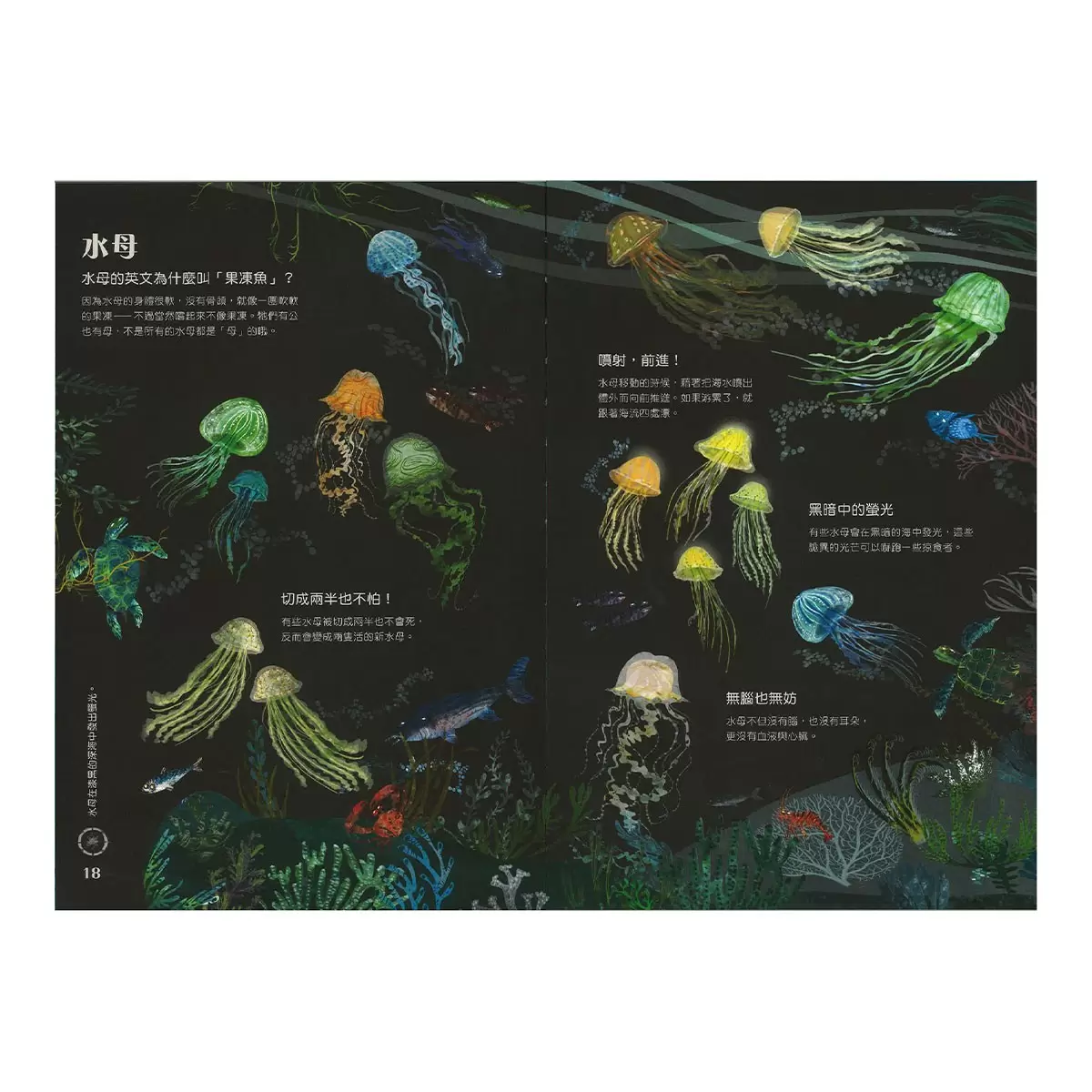 野獸大書 BEASTS(二版) +蟲蟲大書BUGS+海洋大書BLUE+野鳥大書BIRDS(四本合售)