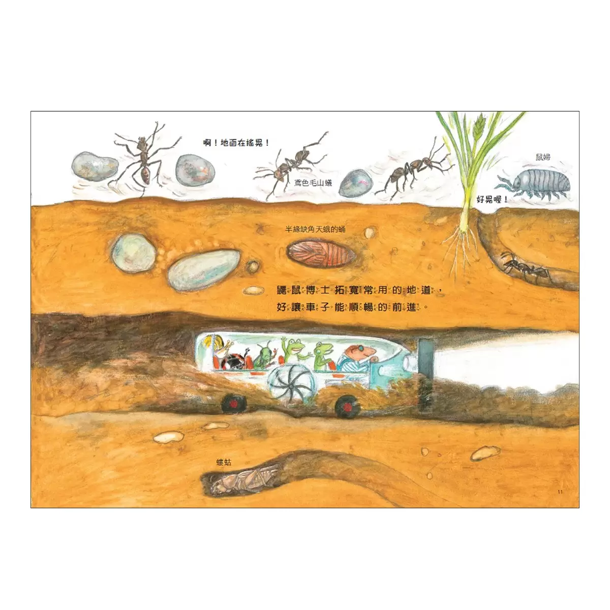 松岡達英雨蛙生態旅行團(共3冊):池塘+空中+地下 - 16