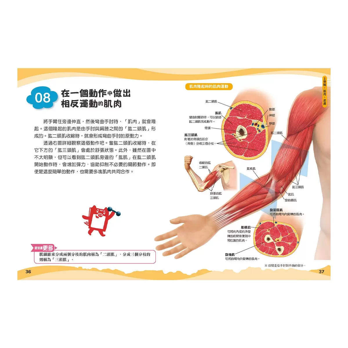 兒童伽利略：動物學校＋恐龍學校＋太陽系學校＋人體學校 (４冊) - 9