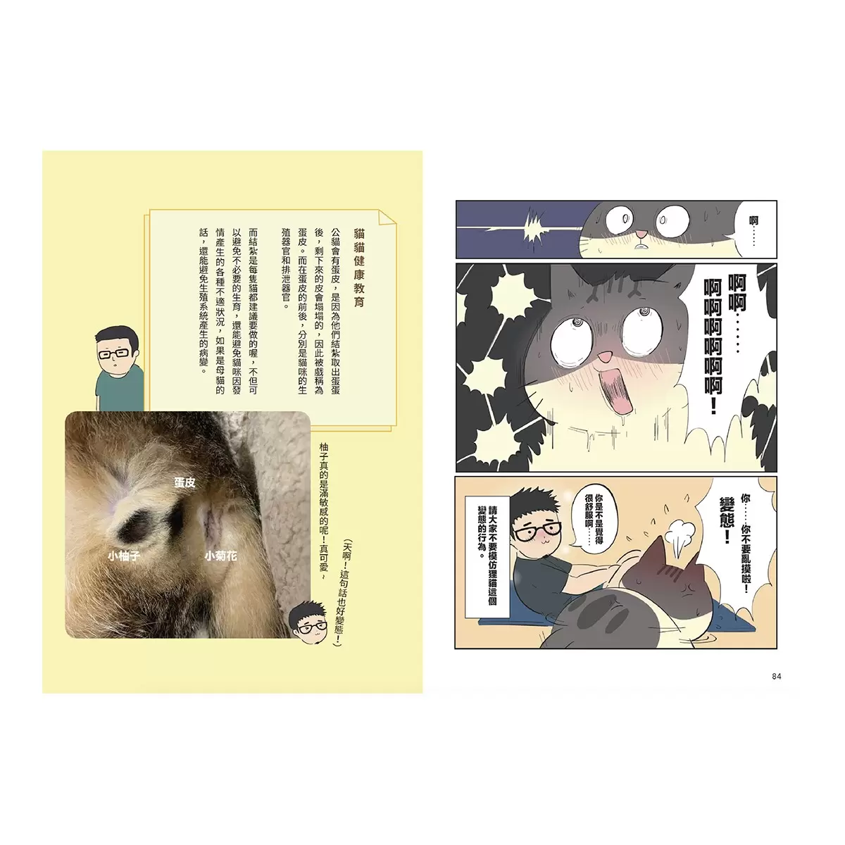 黃阿瑪的後宮生活貓咪超有事套書 (３冊)：貓奴的崩潰與歡愉日記 ＋ 尋找灰胖之旅 ＋ 貓貓美食救援計畫 - 3