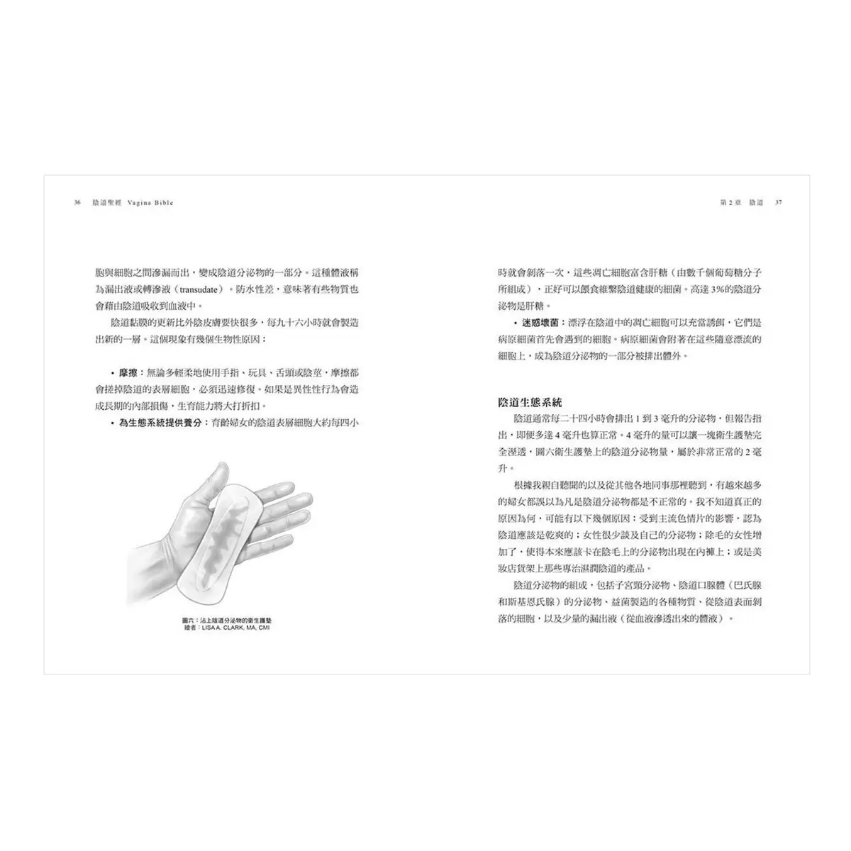 陰道聖經