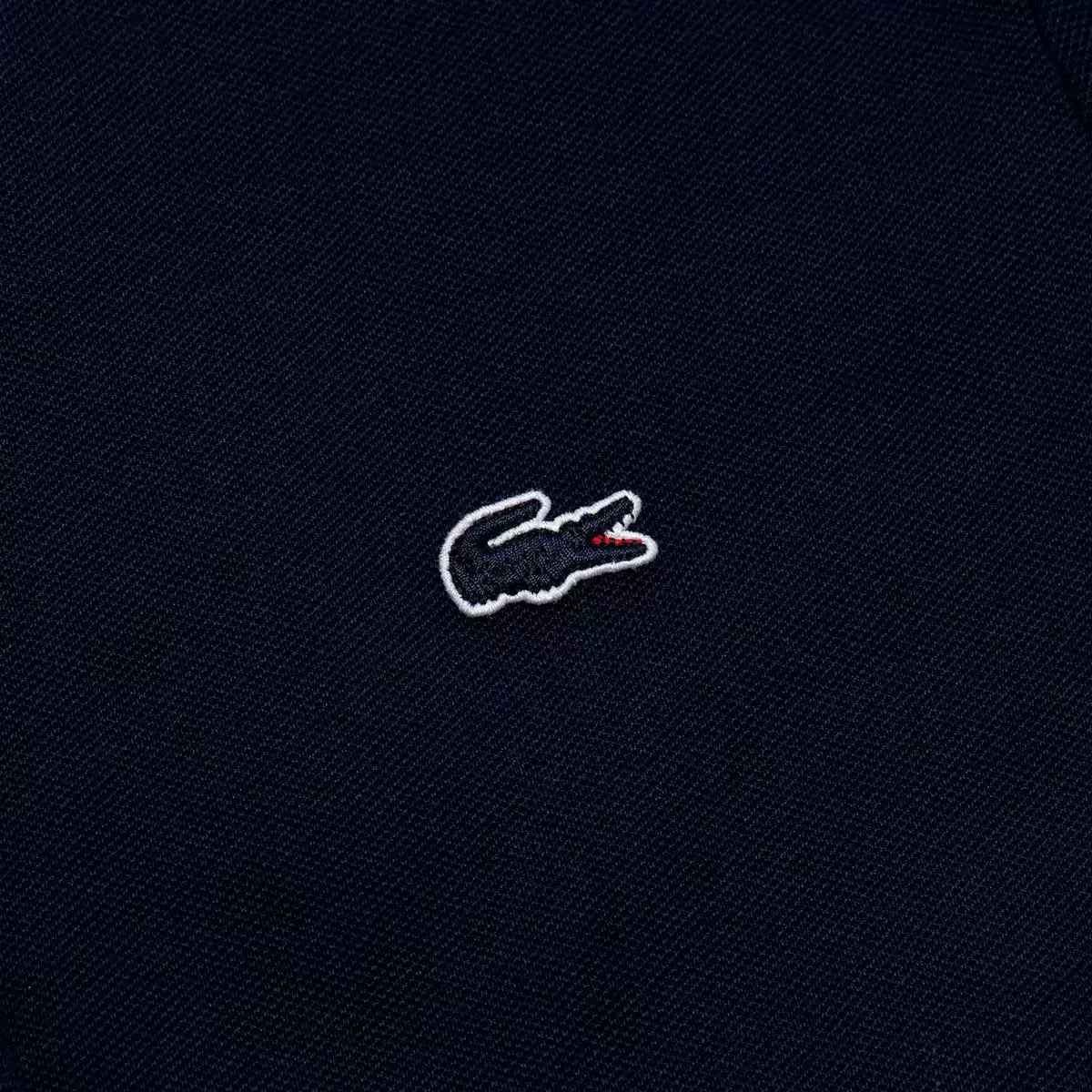 Lacoste 女短袖Polo衫 海軍藍 4