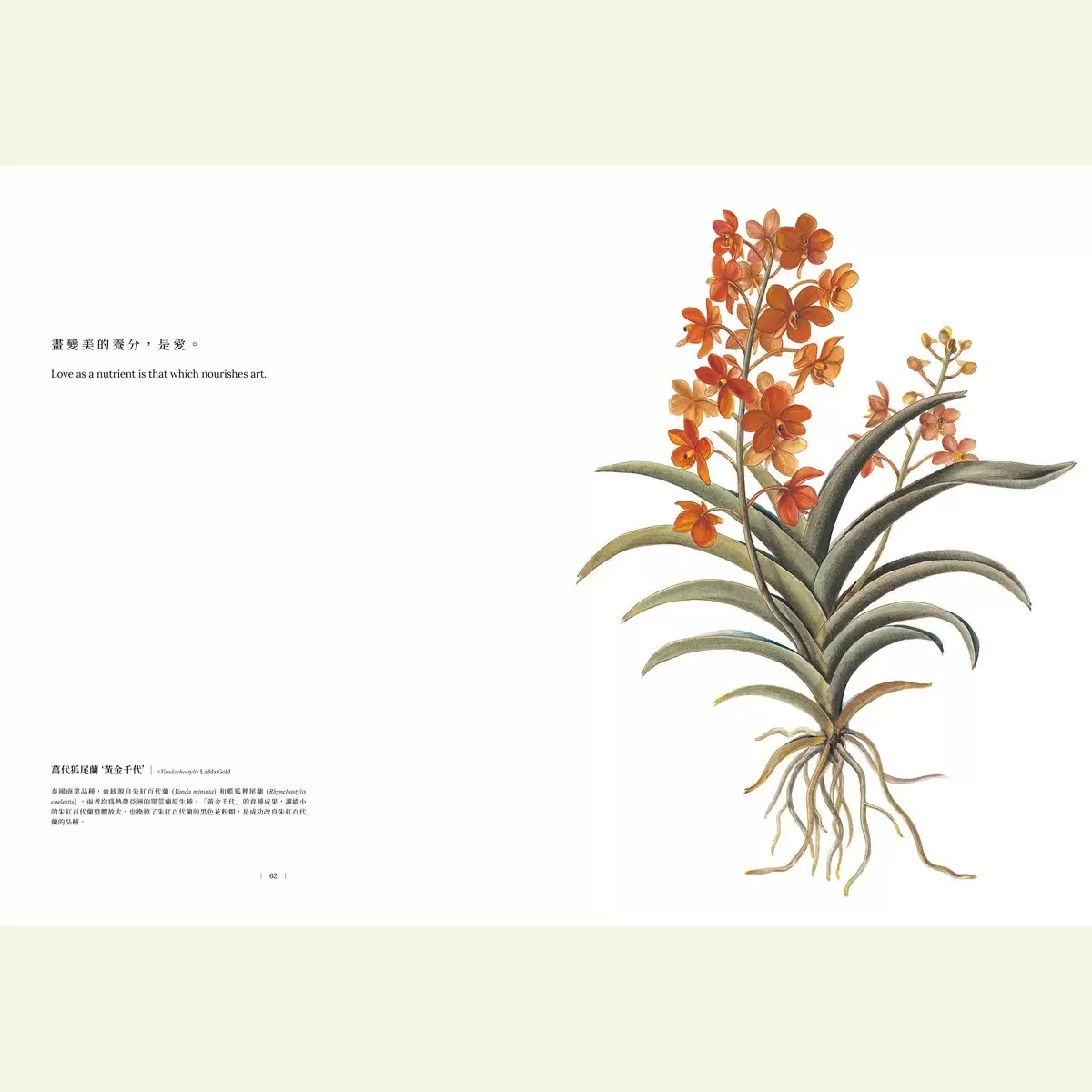 黃湘玲系列套書 植物情人＋蘭花絮語