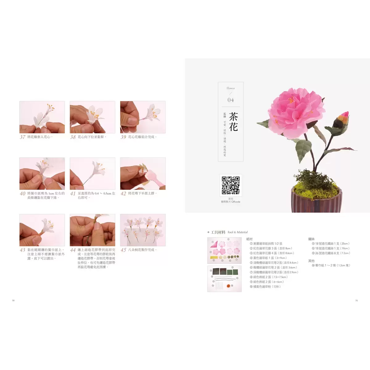 索拉花必備寶典 & 蓪草紙研究室套書 (2冊)