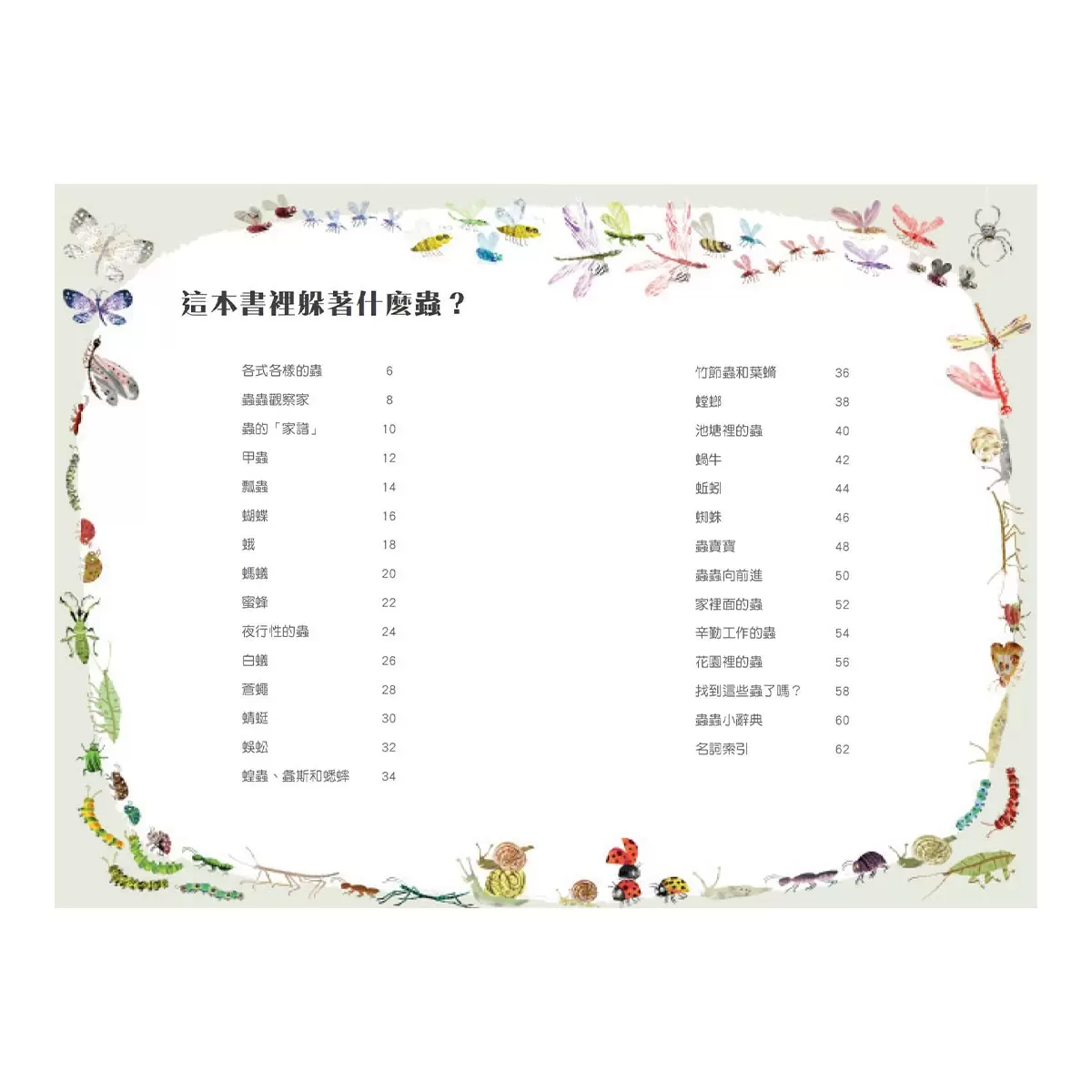 野獸大書 BEASTS(二版) +蟲蟲大書BUGS+海洋大書BLUE+野鳥大書BIRDS(四本合售)
