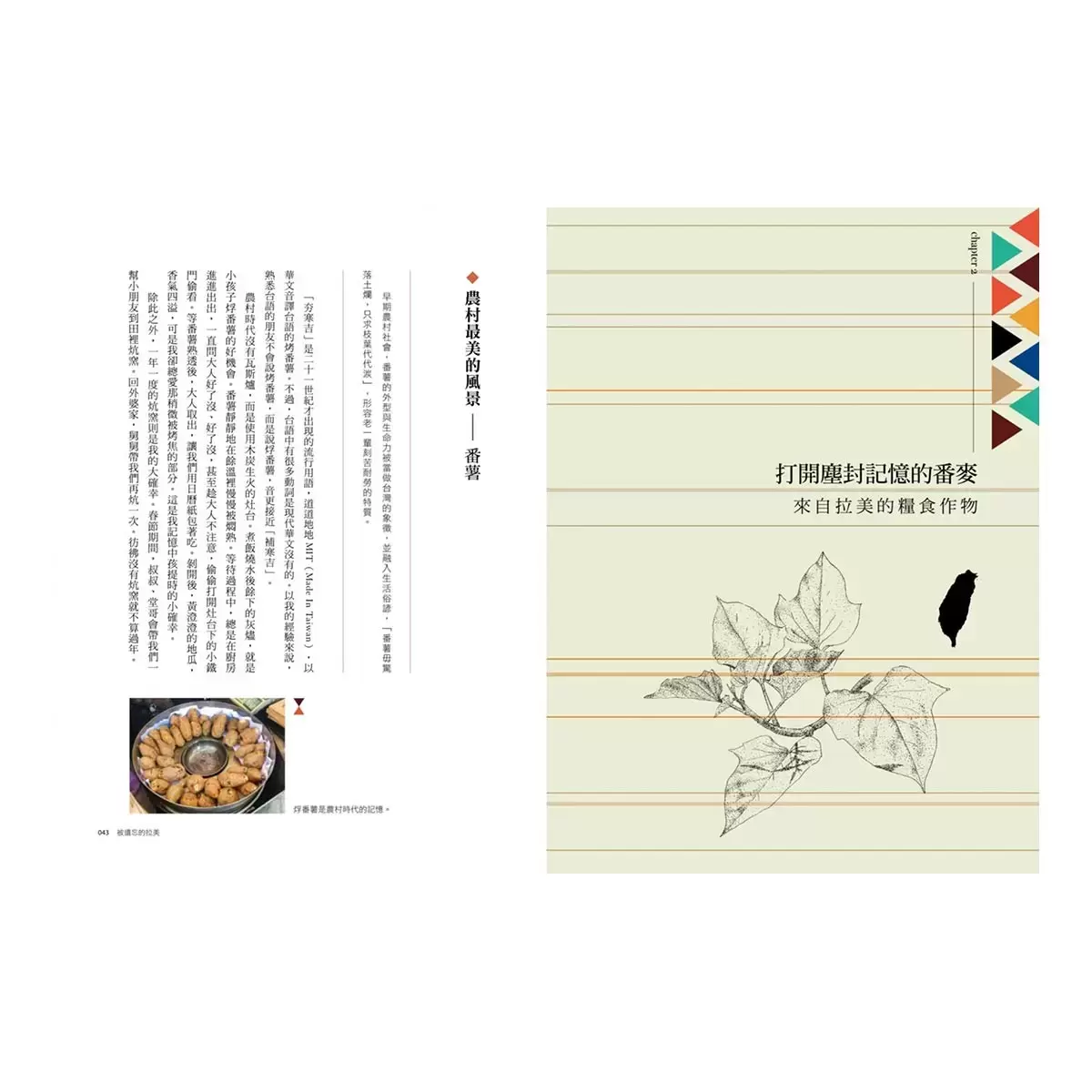 被遺忘的拉美─福爾摩沙懷舊植物誌