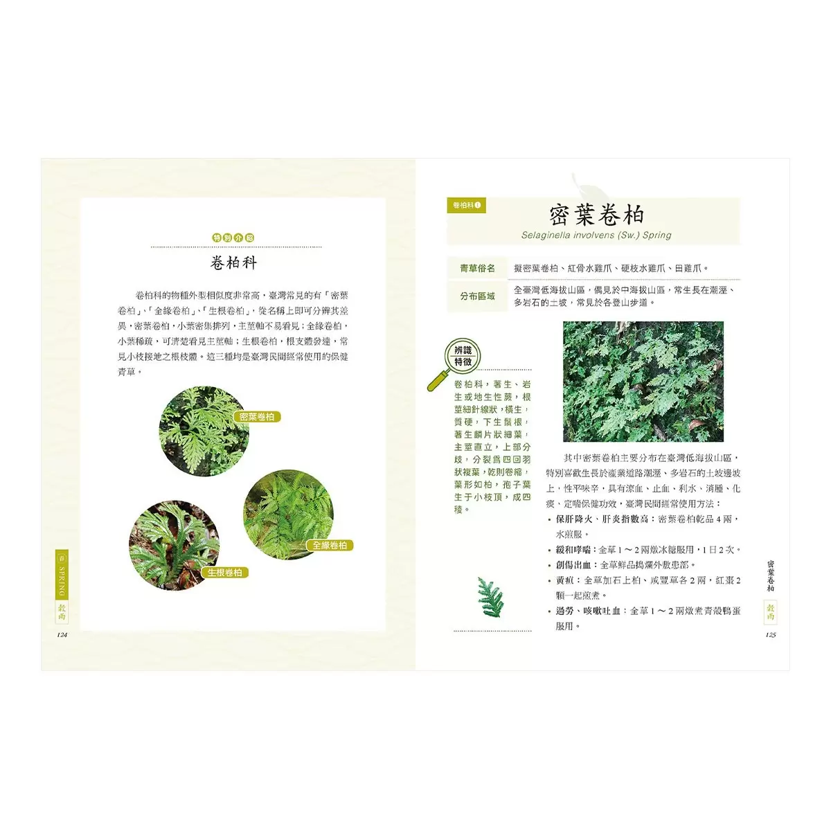 臺灣四季青草誌2：126種在地保健青草實用指南×16道季節養生料理，解鎖路邊雜草的神奇妙用