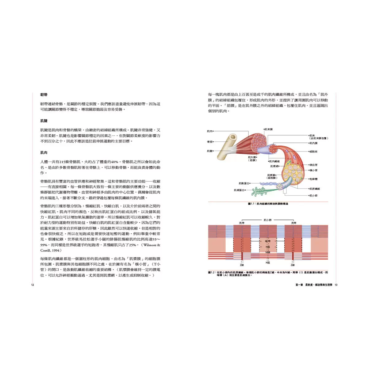 痠痛拉筋解剖書（升級增訂版套書）