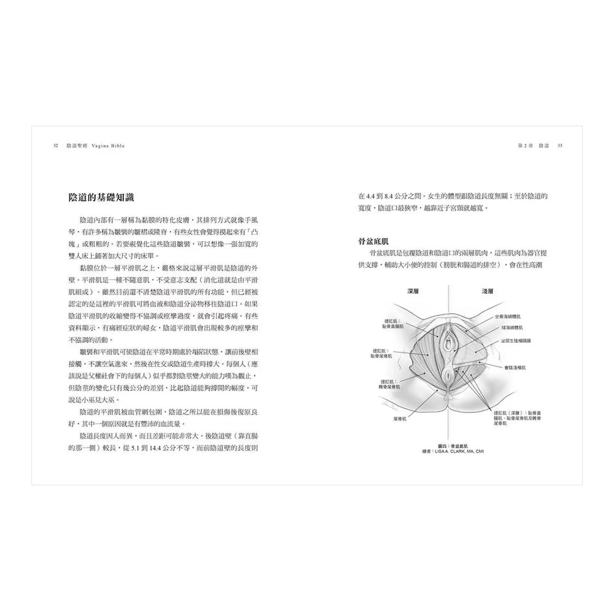 陰道聖經