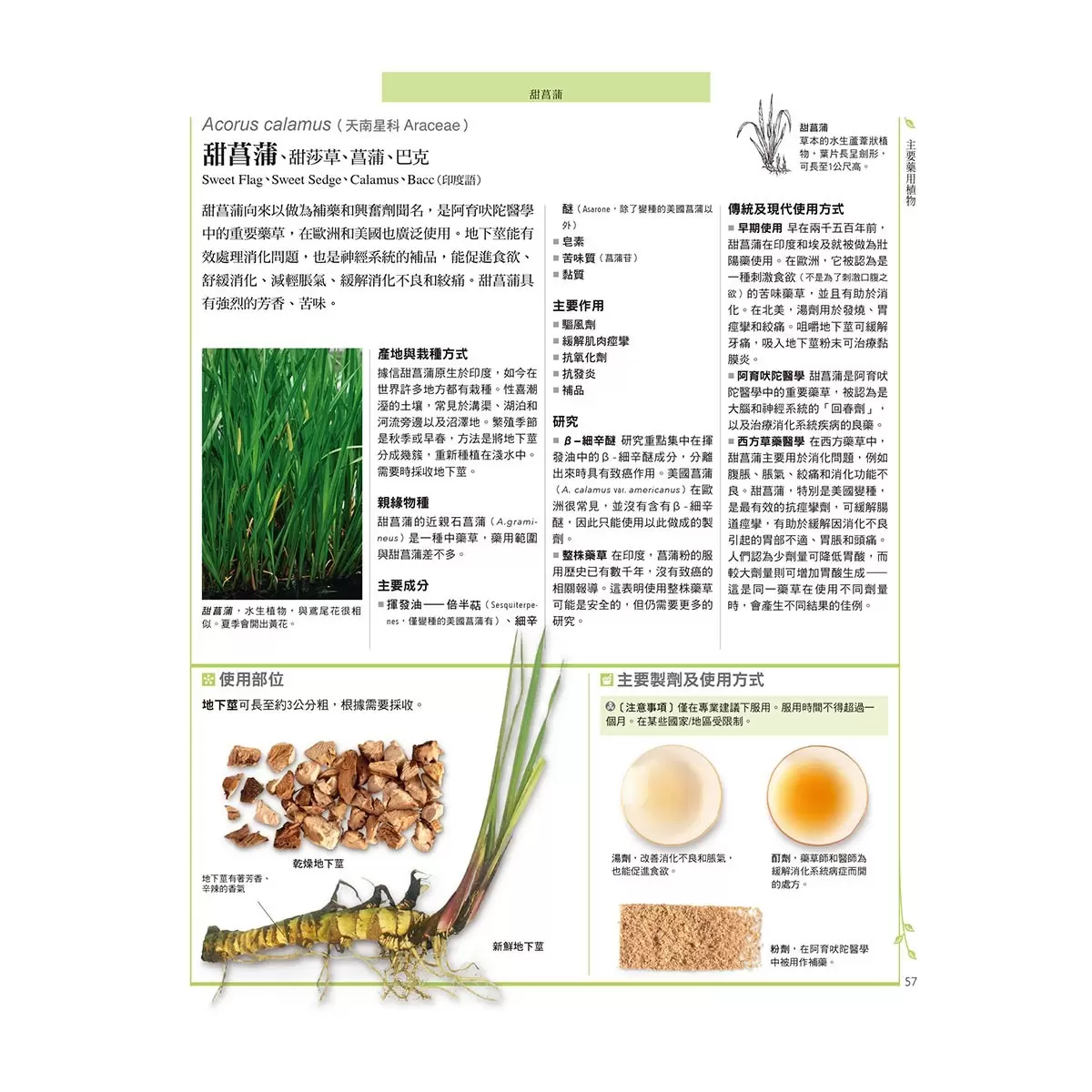 西洋藥草百科