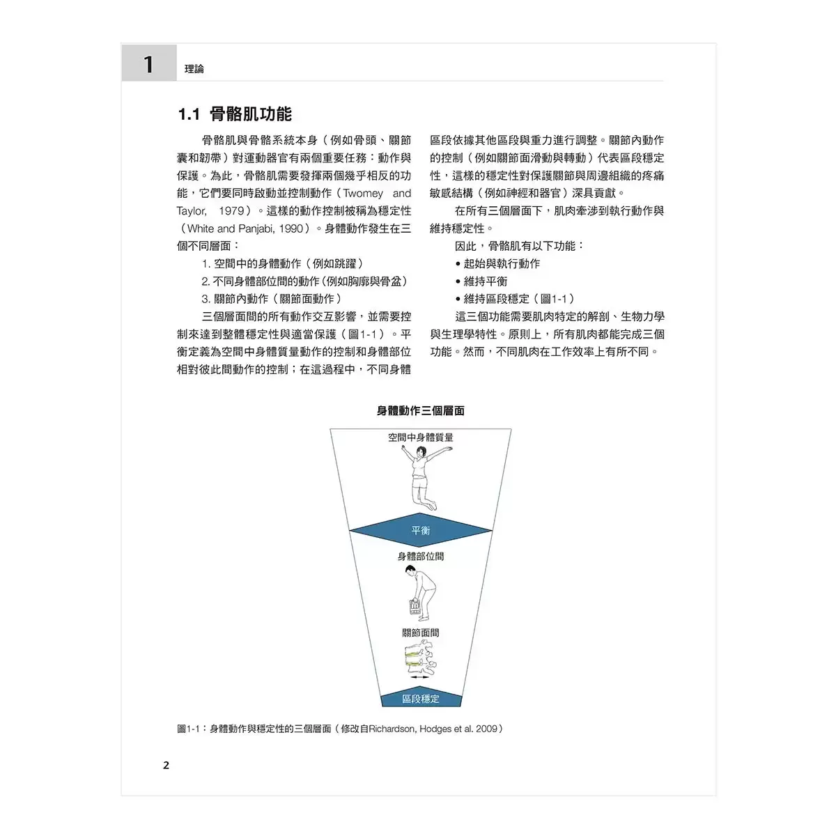 肌肉解剖、功能與測試全書：改訂7版，翻譯為15國語言，全球暢銷逾18年的字典級肌肉工具書