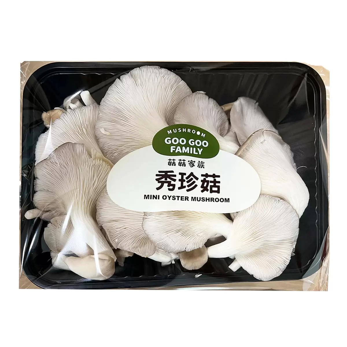 秀珍菇 500公克 - 2