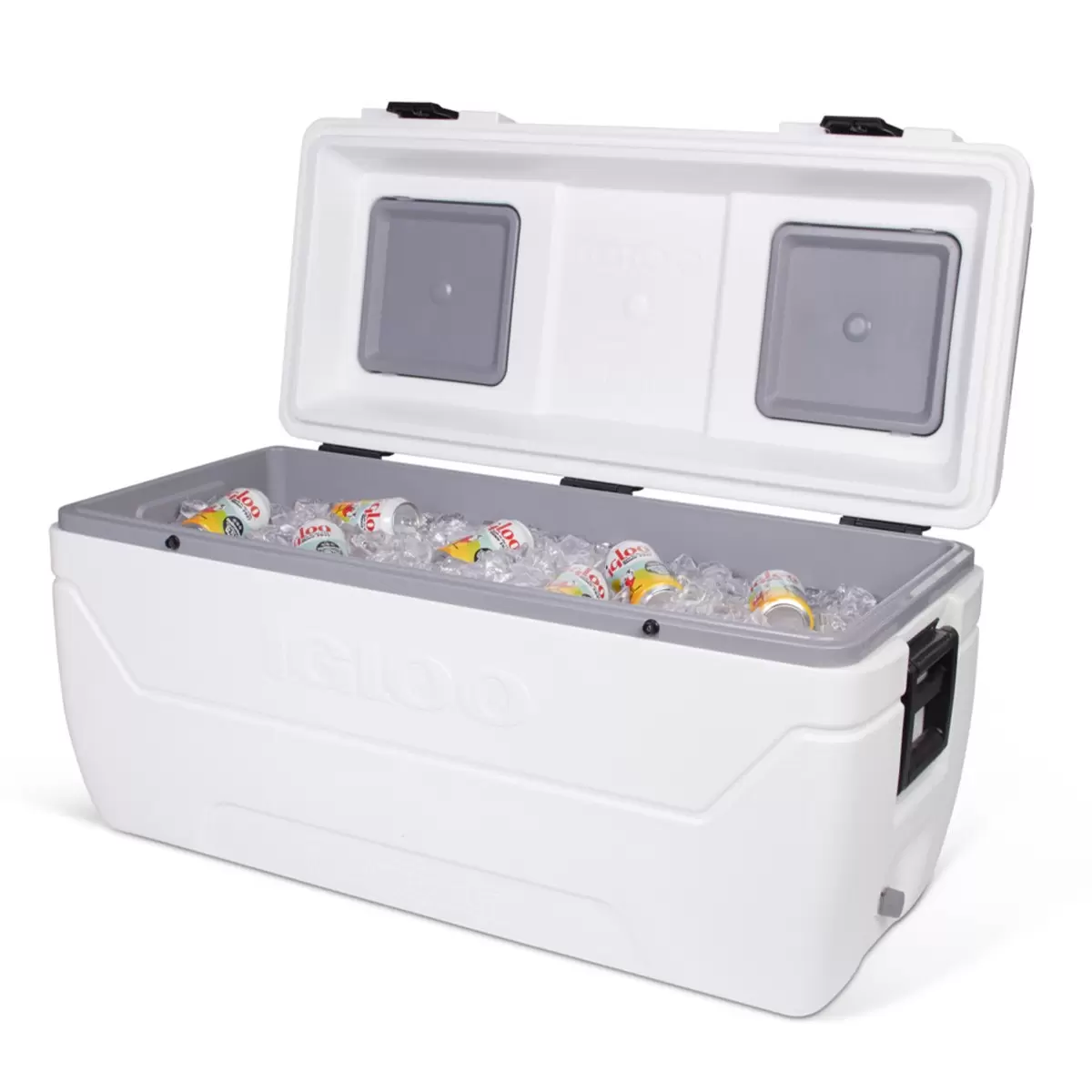 Igloo 156公升 MaxCold 商用冰桶