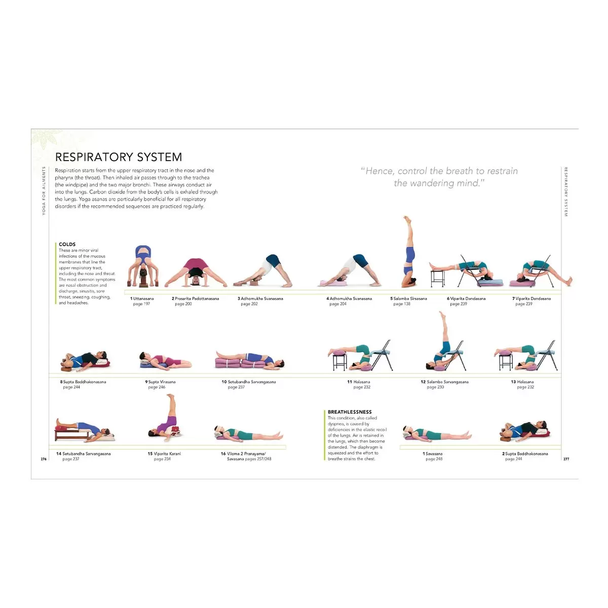 B.K.S. Iyengar Yoga The Path to Holistic Health 外文書