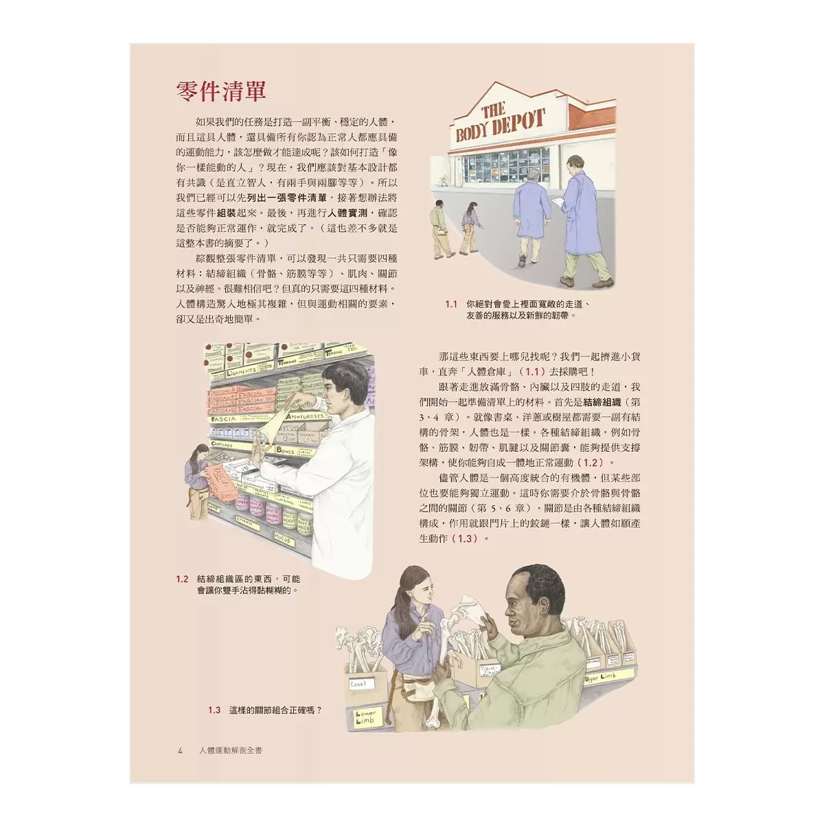 人體運動解剖全書 新修版