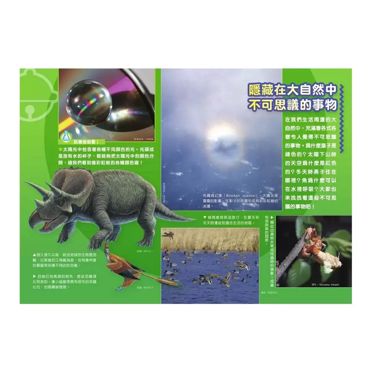 哆啦A夢科學任意門6-10集合售