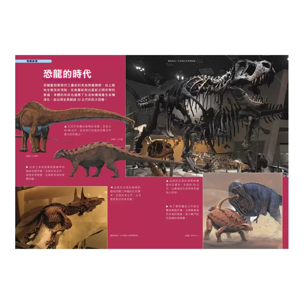 哆啦A夢科學任意門1-5集合售