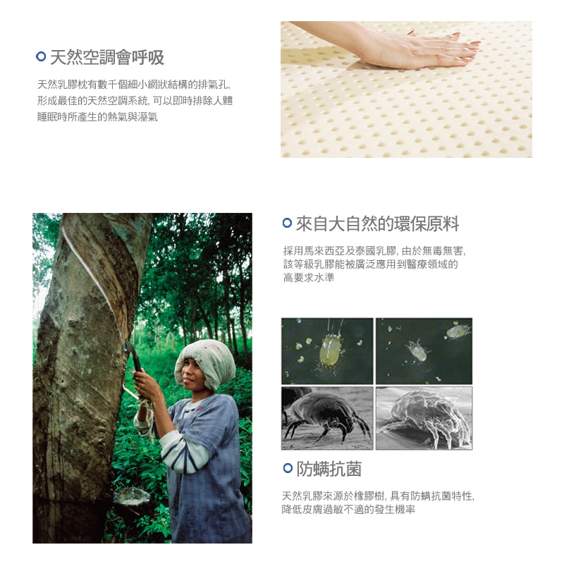Reverie 人體工學乳膠枕，來自大自然的天然材料，防蟎抗菌.