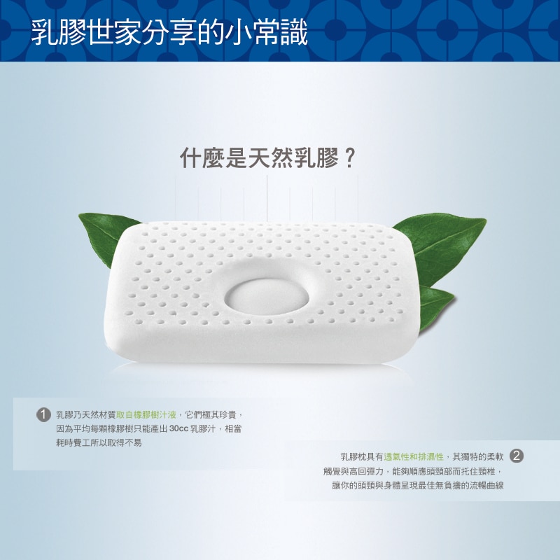 Reverie 人體工學乳膠枕，乳膠世家天然小常識分享，乳膠枕具備透氣性和排濕性.